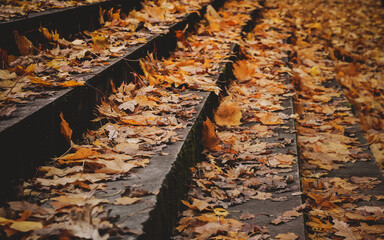 The staircase is strewn with fallen leaves.