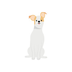 jack russell dog icon, flat style
