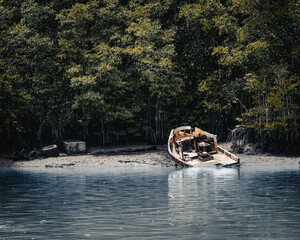 Boat near the jungle coast