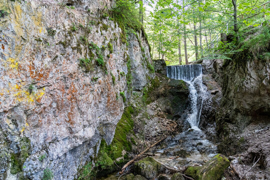view on lainbach waterfall in summertime near mittenwald, bavaria, germany