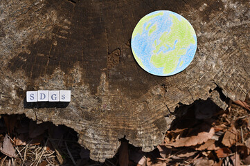 A wooden cube formed as "SDGs" in the forest is placed on a wood stump.