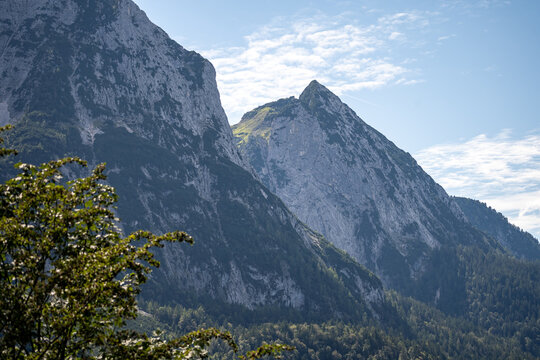 View On Wetterstein Mountains And A Meadow In Summer