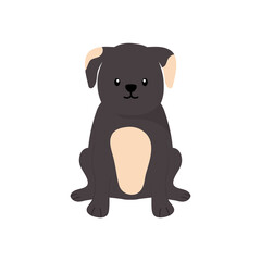 french bulldog icon, flat style