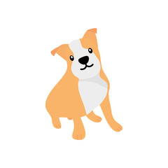 cartoon english bulldog icon, flat style
