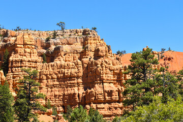 canyon panorama