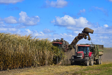 combine harvester in field