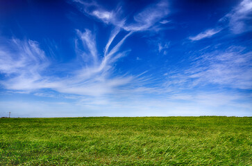 Obraz premium green field and blue sky