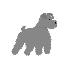 cartoon schnauzer dog icon, flat style