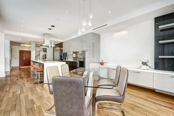 Luxury Apartment in downtown of Montreal
