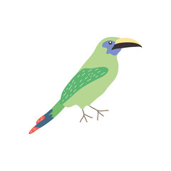 wagtall bird icon, flat style