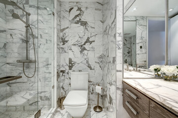 Luxury Apartment in downtown of Montreal