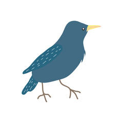 cartoon starling icon, flat style