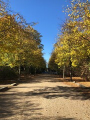 autumn in the park