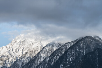 snow mountains and forests