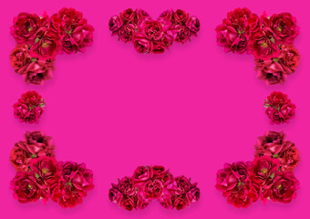 frame of red roses isolated on a pink background
