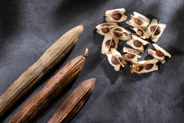 Dried moringa seeds - Moringa oleifera. Text space
