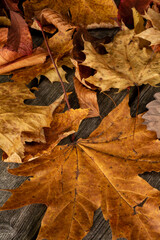 Dry autumn leaves on wooden board