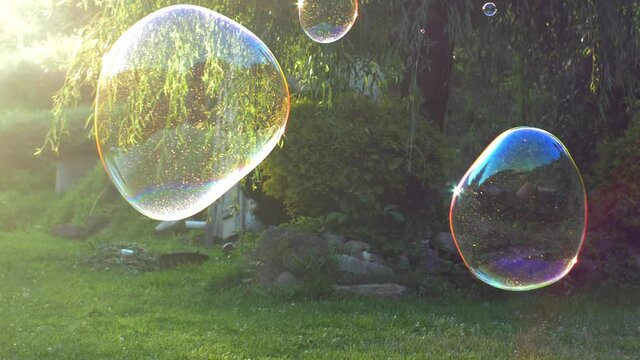 Giant Soap Bubbles Hanging in the Air at Sunset Backlit View