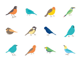 Obraz na płótnie Canvas cartoon birds icon set, flat style