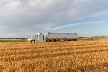 truck on the field