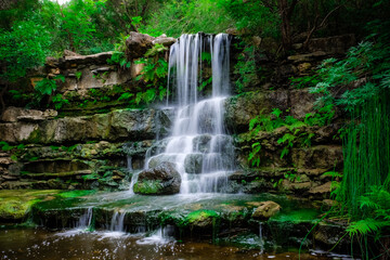 Fototapeta na wymiar Small waterfall and green plants