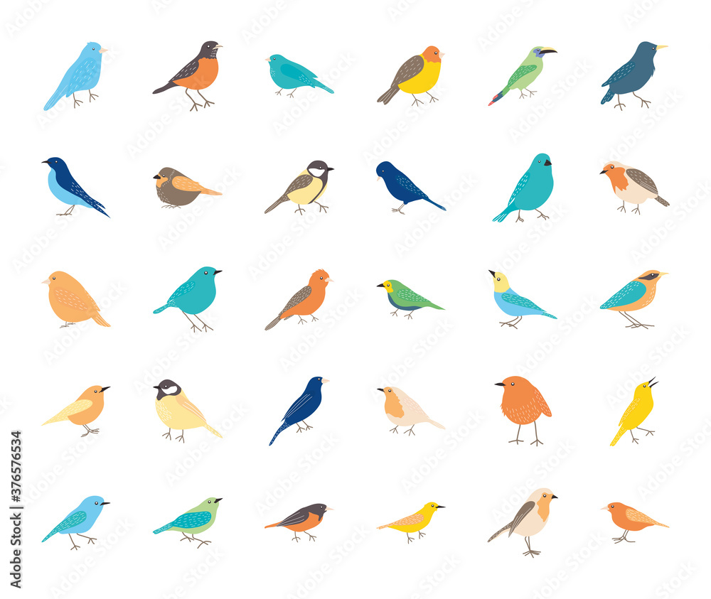 Poster icon set of birds, flat style