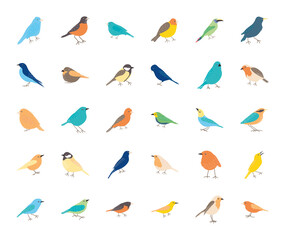 Fototapeta na wymiar icon set of birds, flat style