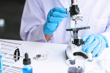 Medical Research asian Scientist Working With Microscope Doing Research Making Scientific Experiment, Works in a Bright Modern Laboratory.