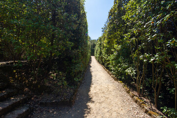 Fototapeta na wymiar Green hedge maze in Italy