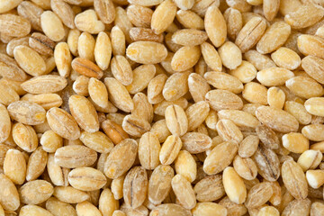 a pile of pearlescent barley, pearl barley