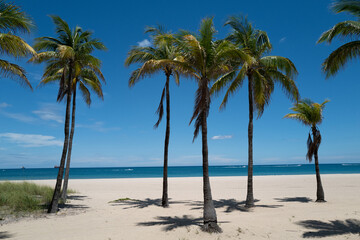Fototapeta na wymiar Fort Lauderdale Beach 