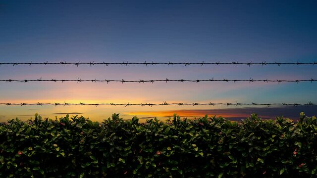 Sunset and barb wire