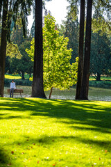 autumn in the park