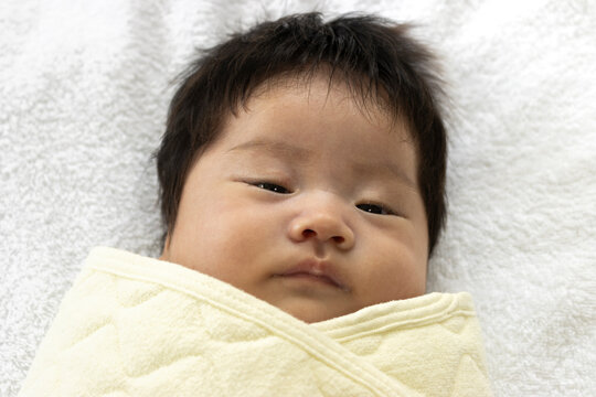 おくるみ Images Browse 655 Stock Photos Vectors And Video Adobe Stock