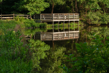 Overlooking the overlook across the pond a Crowder County Park in Apex, North Carolina.