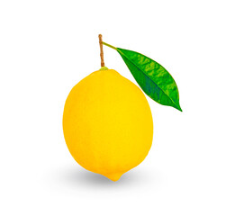 lemon isolated on white background.