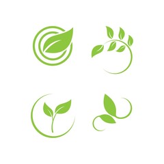  green leaf logo