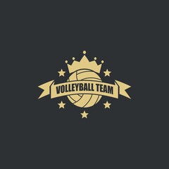 Illustration vector graphic of Volleyball logo. Retro Logo, Vintage Logo Design Template Inspiration