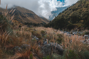 Forested mountain slope in low lying cloud with the evergreen conifers shrouded in mist in a scenic landscape view