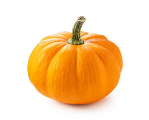 Pumpkin on a white background