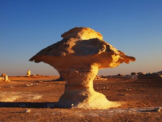 Limestone mushroom made from wind erosion. White Desert, Egypt.
