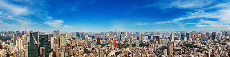 Cityscape of Tokyo skyline, panorama aerial skyscrapers view of office building and downtown in Tokyo on a sunny day. Japan, Asia. - obrazy, fototapety, plakaty