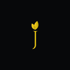 Initial Letter M Flourishes logo monogram in gold color and black background.