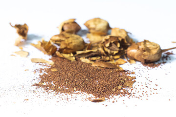  tobacco seeds. Isolated on white background.