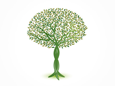 Logo ecology tree with braided trunk and colorful leaves in the spring season icon vector image