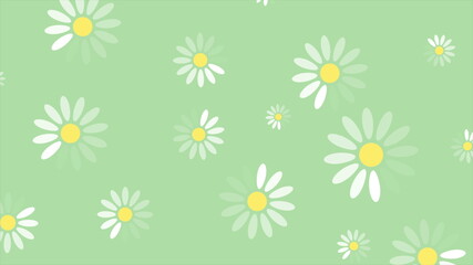 Summer camomiles flowers minimal background