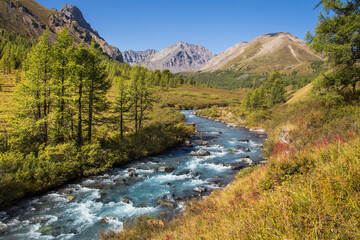 A white water mountain river bends along the valley between the banks with yellowish grass and green trees. Grey mountains are in the background against the bright blue sky.