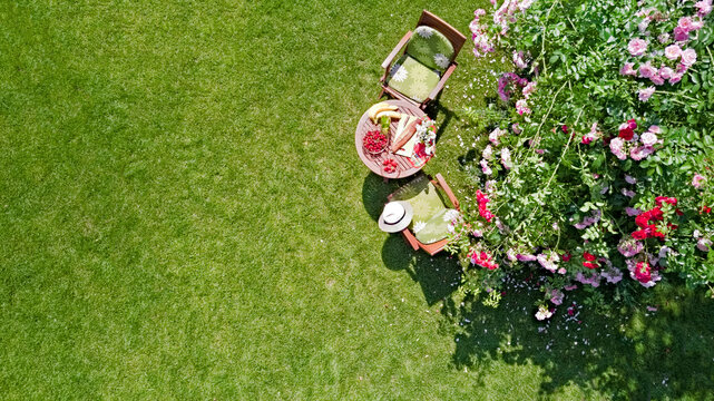 Decorated Table With Bread, Strawberry And Fruits In Beautiful Summer Rose Garden, Aerial Top View Of Romantic Date Table Food Setting For Two From Above
