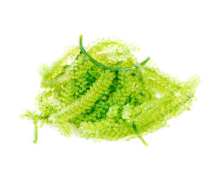 Sea grapes ( green caviar ) seaweed on white background.clipping path
