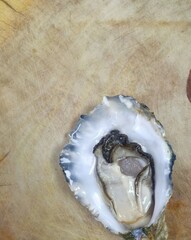 Shelled mussels  Bark placed on a wooden cutting board